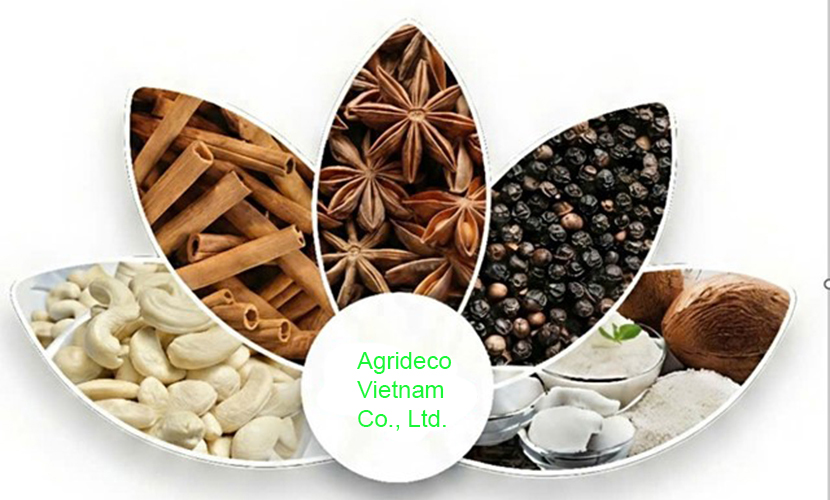 Vietnamese spice enterprises