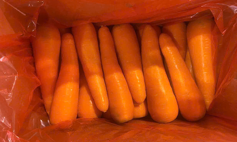 Exports of Vietnamese carrot