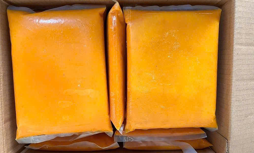 Frozen mango juice from Vietnam