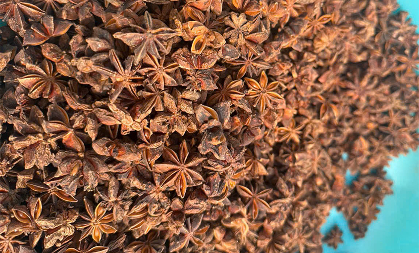 Vietnam's star anise flowers
