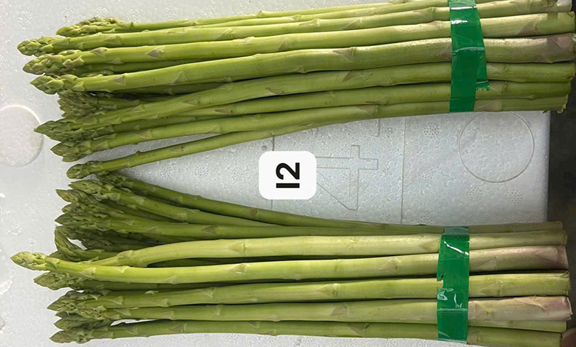 Vietnamese asparagus: L2 grade