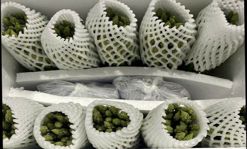 Vietnamese asparagus exports