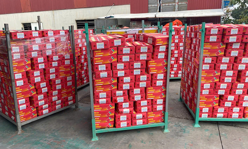 Vietnamese carrot boxes
