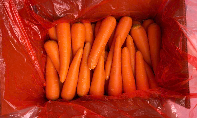 Vietnamese carrots: small size