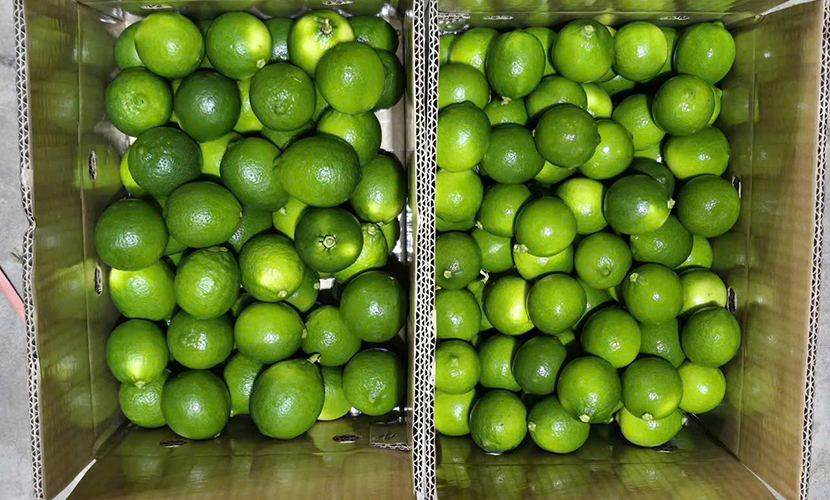 Vietnamese lemoon exports