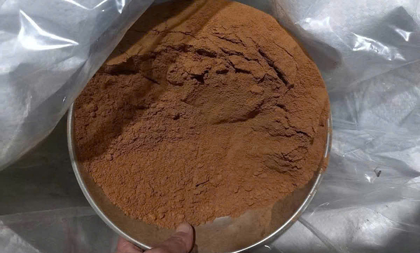 Yen Bai cinnamon powder