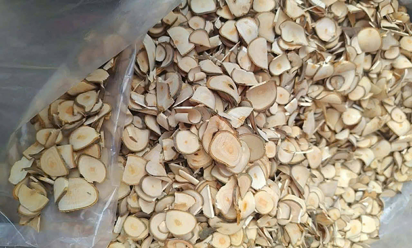 Yen Bai cinnamon roundcut