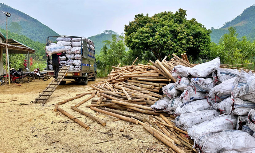 Vietnamese cinnamon charcoal facility