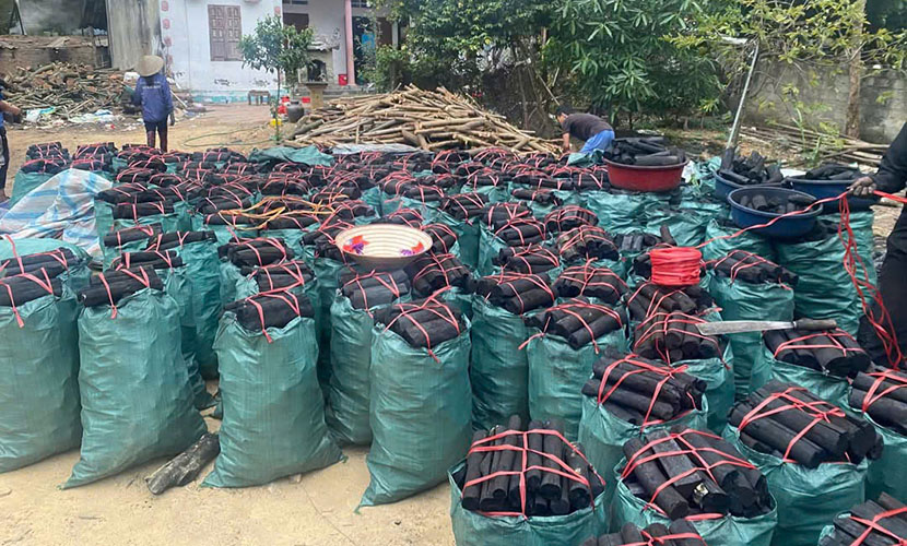 Vietnamese cinnamon charcoal