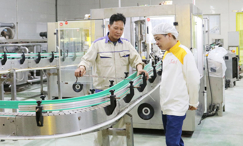 Bac Ninh lychee facility