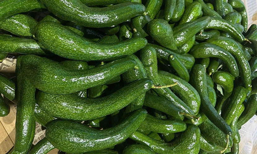 Fresh avocado from Vietnam