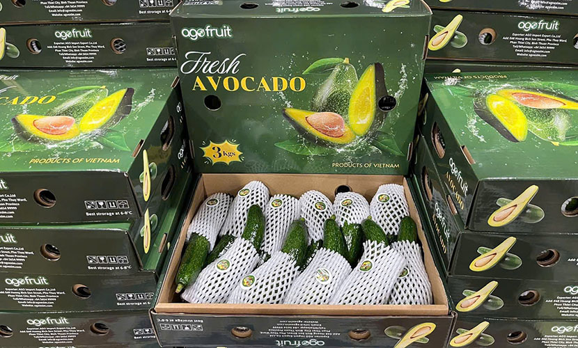 Vietnamese avocado exports