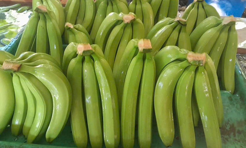 Vietnamese banana exports
