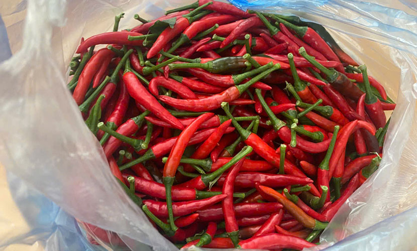 Vietnamese chili - one of the main Vietnamese chili exports