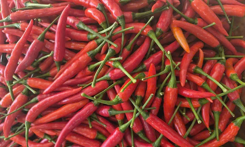 Vietnamese chilies