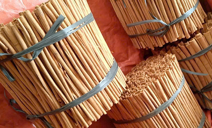Cinnamon sticks from Vietnam