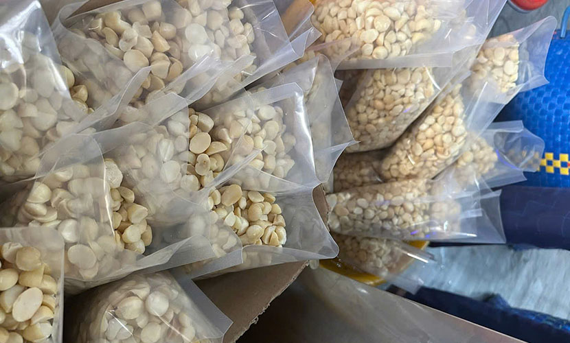 Vietnamese macadamia without skin