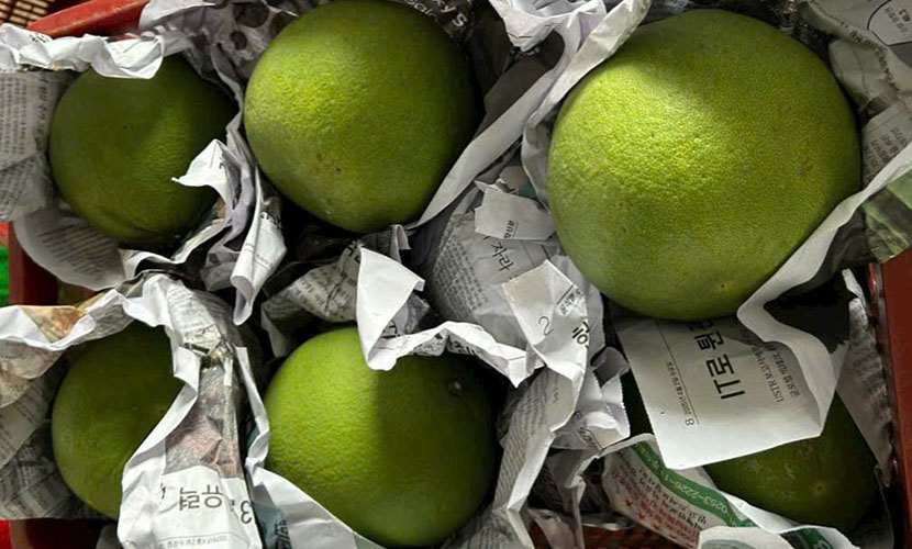 Vietnamese pomelos