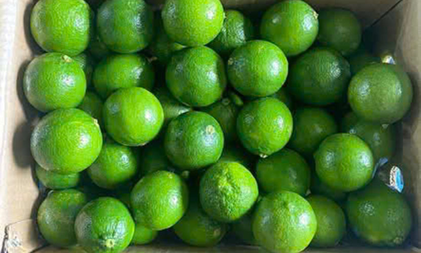 Vietnamese seedless lime
