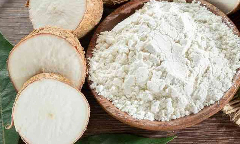 Vietnamese tapioca exports