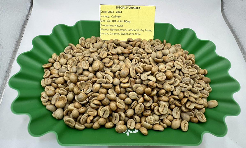 Arabica coffee from Vietnam