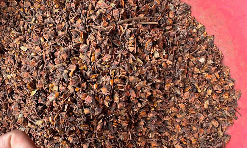 Broken star anise from Vietnam
