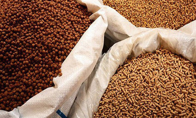 Exports of Vietnam’s animal feed
