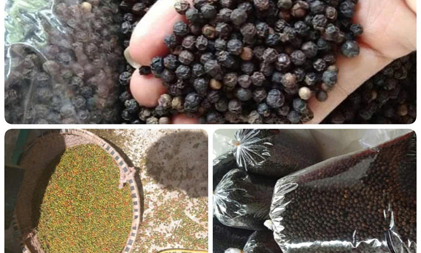 Exports of Vietnam's pepper
