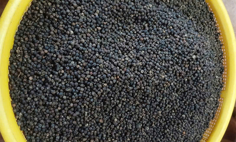 Exports of Vietnamese pepper