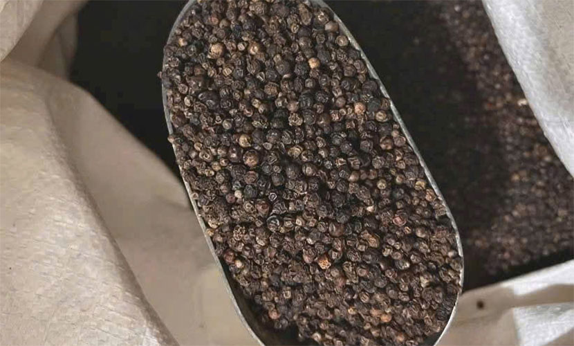 Exports of Vietnamese pepper