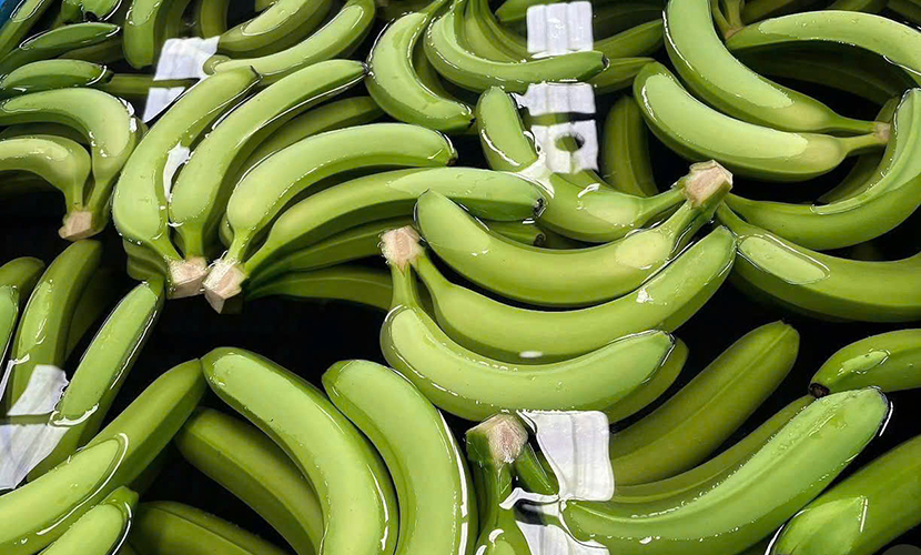 Fresh banana from Vietnam