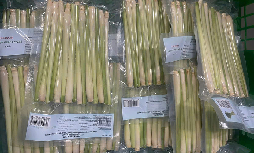Fresh lemongrass from Vietnam