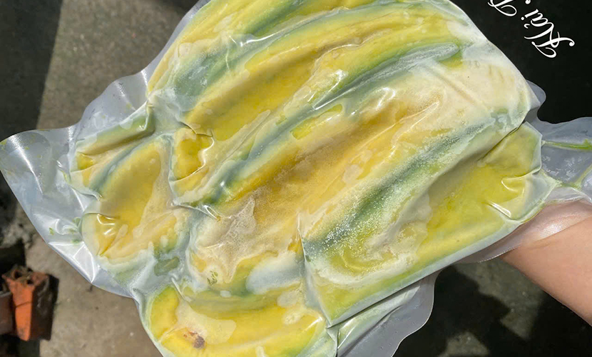 Frozen avocados from Vietnam