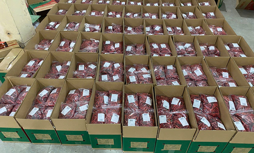 Frozen chili from Vietnam