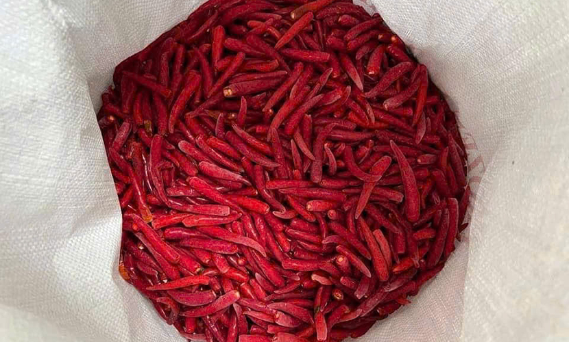 Frozen chili peppers from Vietnam