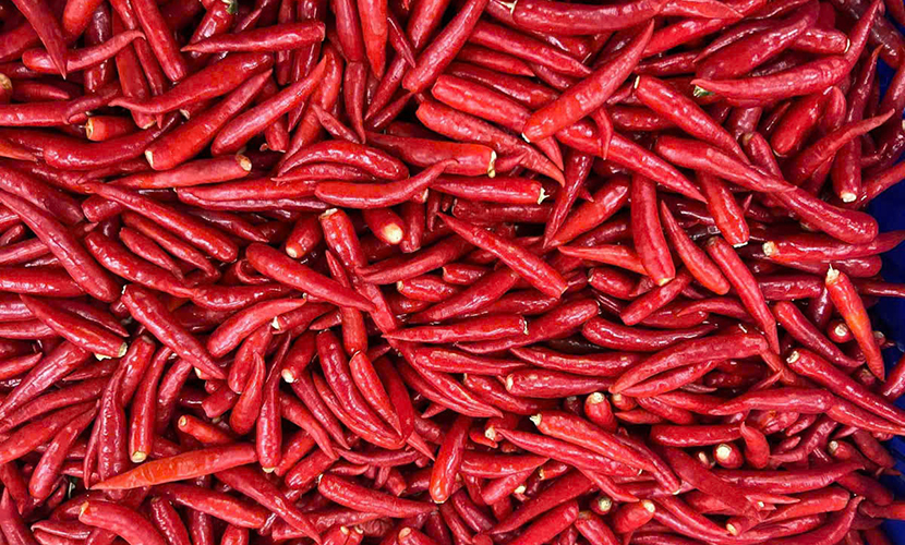 Frozen chili from Vietnam