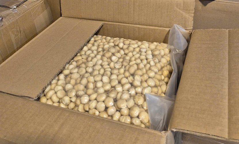 Off-shell macadamia from Vietnam
