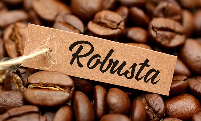 Robusta coffee from Vietnam