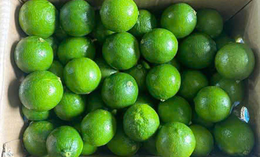 Seedless lemons in Vietnam