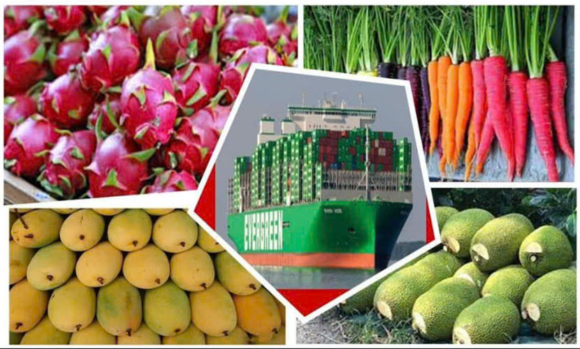 Vietnam's agricultural exports
