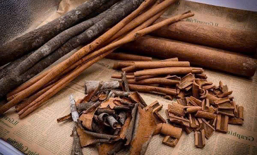 Vietnam's cassia cinnamon exports