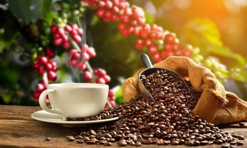 Vietnam's coffee exports