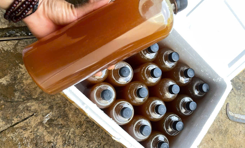 Vietnam's honey