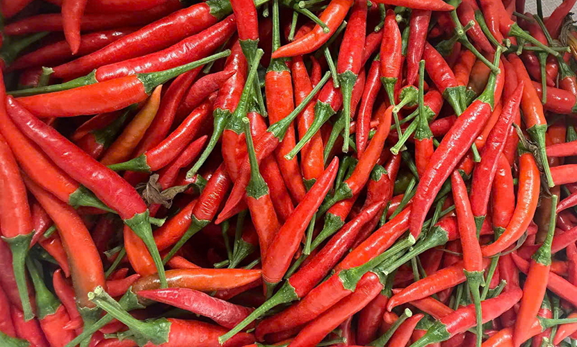 Vietnam's organic chili