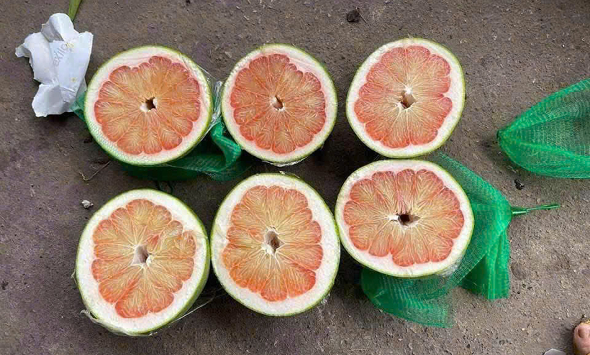 Vietnam-origin pomelos