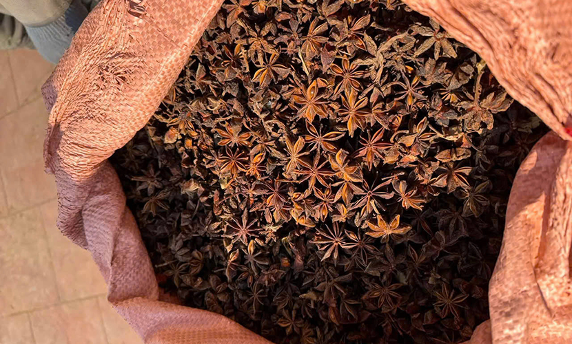 Vietnam-origin star anise