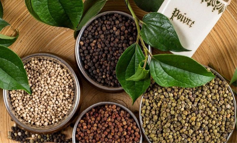 Vietnam's pepper exports