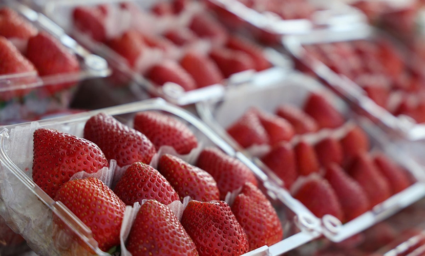 Vietnam's strawberry exports