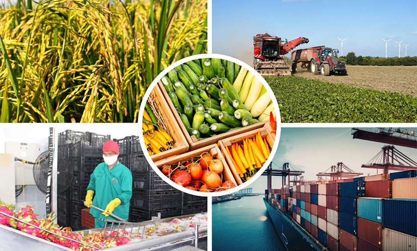 Vietnamese agro-products