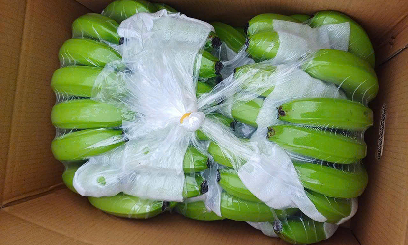 Vietnamese bananas